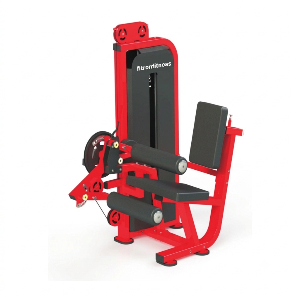 Seated Leg Curl & Leg Extension Combo